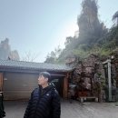 인형의 거리(원숭이 이미지