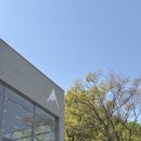 청계산 맛집 옥녀봉 매봉 등산후기와 애마오리 찐만족 후기 (명예운이 가득한 청계산으로!)
