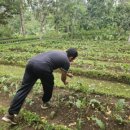 에이아그로 이미지