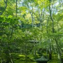 고요정원 이미지