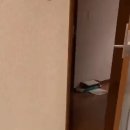 구두다방 이미지