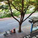 레코드피자 - 마포구 와우산로32길 40 | 레코드피자