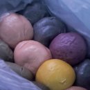 어라연송어횟집 | [강원도 영월] 1박 2일 여행(동강다슬기,영월 소금빵, 동강 붉은 메밀꽃 축제, 어라연송어장 횟집)