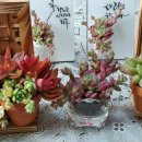 주월1동 행정복지센터 이미지