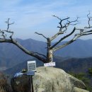 수주천 Daum카페