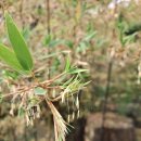 청주중학교 이미지