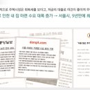 가지스테이 이미지