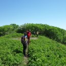 당정골계곡 이미지