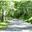 태백서학한우촌 이미지