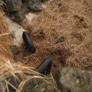 똥돼지 - 강북구 노해로 55 | 똥돼지