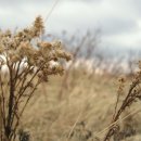 산정축산 이미지