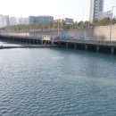 W힐탑공인중개사사무소 이미지