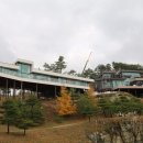 웰리힐리 컨트리클럽 이미지