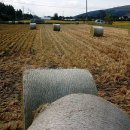 영우축산 이미지