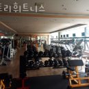 빅토리헬스 이미지