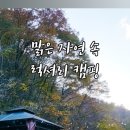 디뮤어 카라반 이미지