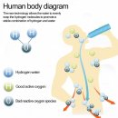 양지로8C | 수소수란 무엇인가?