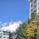 봉양6길 이미지