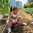 주하농장 이미지