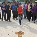 창천초교 이미지