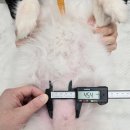 아띠동물의료센터 이미지
