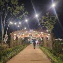 도림천에서 용나는 작은도서관 | 아이와 가기 좋은 안양천 빛 축제와 야외 도서관 후기 (도림천 달빛가람 축제)