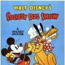 도그소사이어티 이미지