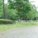 솔무공원 네이버블로그