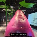 조엄기념관 | 부산영도가볼만한곳 영도 조내기 고구마 역사기념관 다녀온후기!!