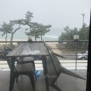 건도리