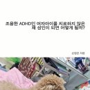조용한 adhd 인 여자아이를 치료하지 않은 채 성인이 되면 어떻게 될까?-손영은 이미지