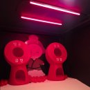주순정헤어홀릭 | 제주도 애월 비 오는 날 실내 데이트 추천 이색 데이트 포토존 사진 스팟 게임 구비 :: 제주홀릭뮤지엄
