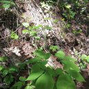 고향농장 이미지