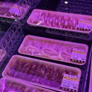 소로3-41(혁신도시) | 나주 혁신도시 정육점 마블링, 항정살 김치찜 신의 한 수