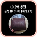 미니백 추천 데일리 가방 [몽삭 모니카 미니 바케트백] 제트플립5 가방