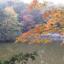 (주)비원비 Daum카페