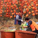 상순이 쉼터 이미지