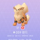 윈디