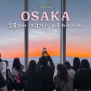 이천이월드고속관광 | 일몰부터 야경까지 제대로 즐긴 아이랑 하루카스300 방문 후기