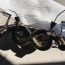 제니스오토 이미지