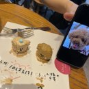 츄르케이크 네이버블로그
