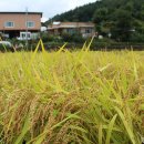 대단해농장 이미지