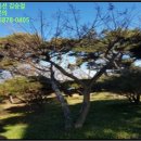 낭산면-1 이미지