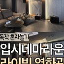 씨네마강남 대관 네이버블로그