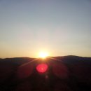 녹색산