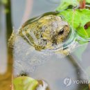 덕동산공원2 이미지