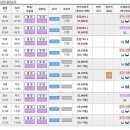 (유)골드관광여행사