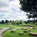 웰빙주유소 이미지