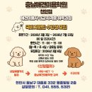 애견미용사 3급 자격증 과정 1 | 2026년 3월 애견미용사 3급 자격증 취득과정 모집 (국비지원반)