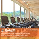 봉담헬스PT피트니스M